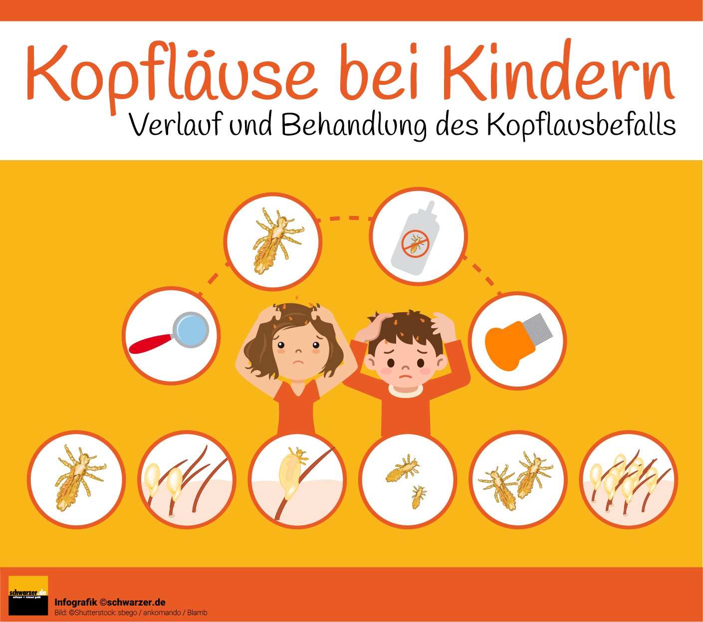 Kopflause Im Kindergarten So Geht Man Richtig Vor