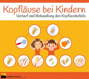 Kopfläuse Im Kindergarten: So Geht Man Richtig Vor